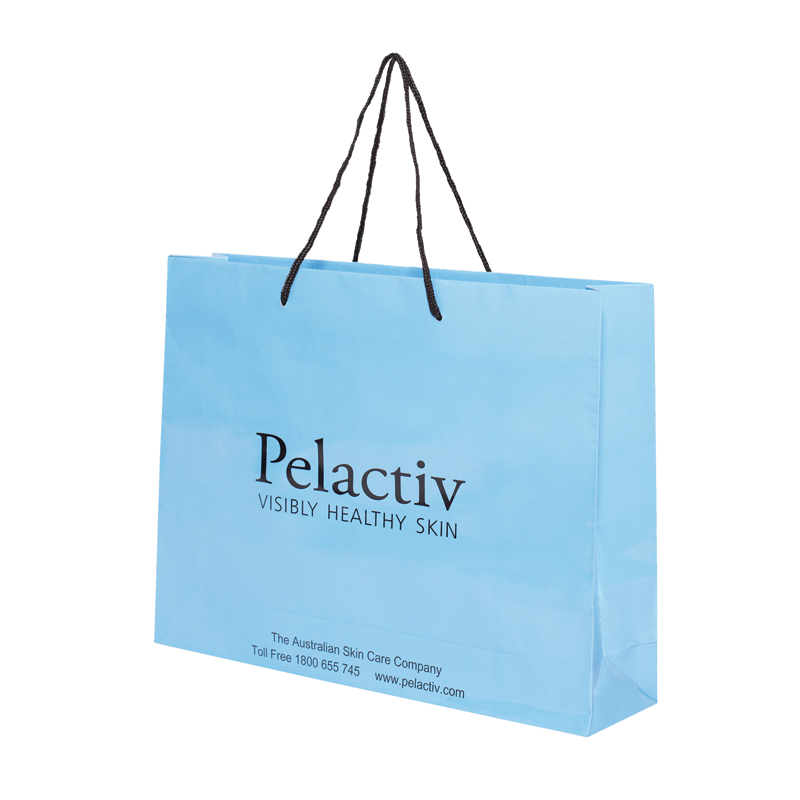 Blue Paper bags - 5 pack